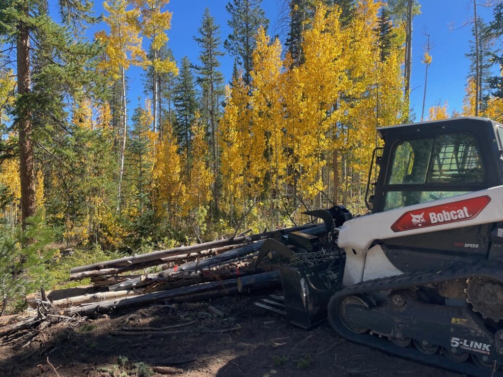 Skid steer with grapple bucket removing dead trees from the Colorado forest floor.