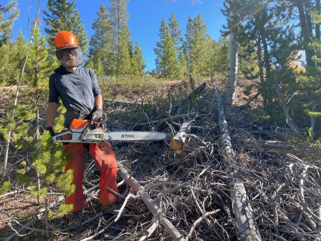Fire mitigation specialist clearing dead trees from the forest floor of Colorado with a chainsaw.