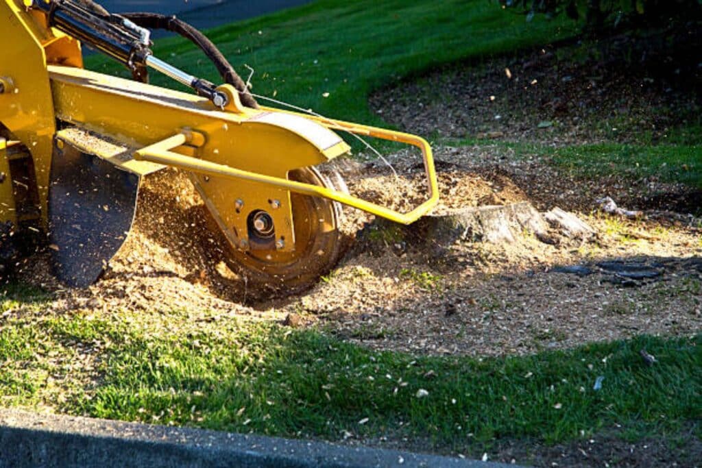 stump grinding near me