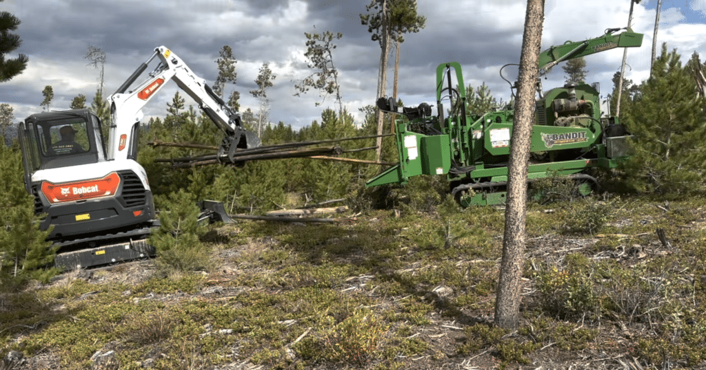 Tree Removal Services in Franktown