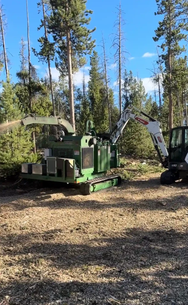 tree removal near me