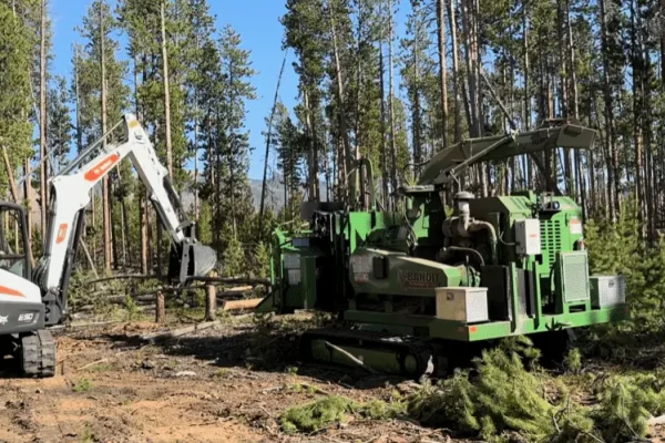 Bear Claw team performing meticulous brush removal in Breckenridge, CO, ensuring a clean and safe property